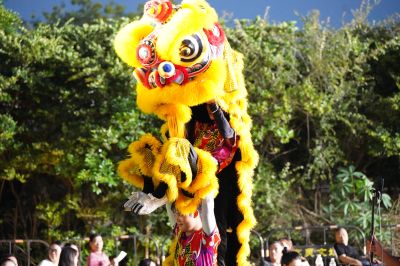 照片